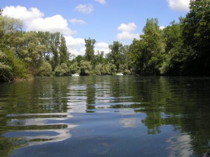 MS Sydney in der Zufahrt zum Petersee