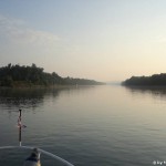Morgenstimmung Rhein bei Niffer