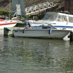 Fahrschule im Winterhafen Mainz