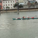 Ruderer auf dem Rhein